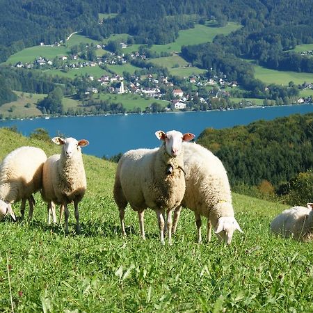 Biobauernhof Nussbaumer Villa Nussdorf am Attersee Exteriör bild