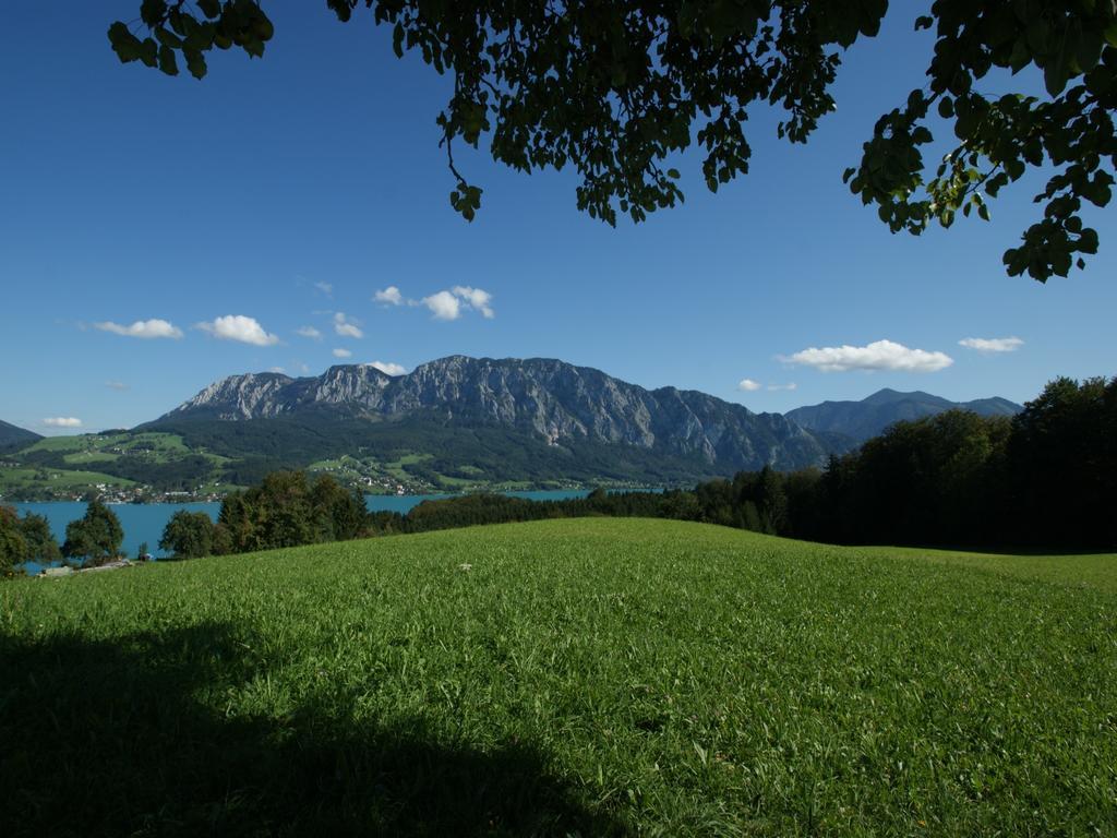 Biobauernhof Nussbaumer Villa Nussdorf am Attersee Exteriör bild