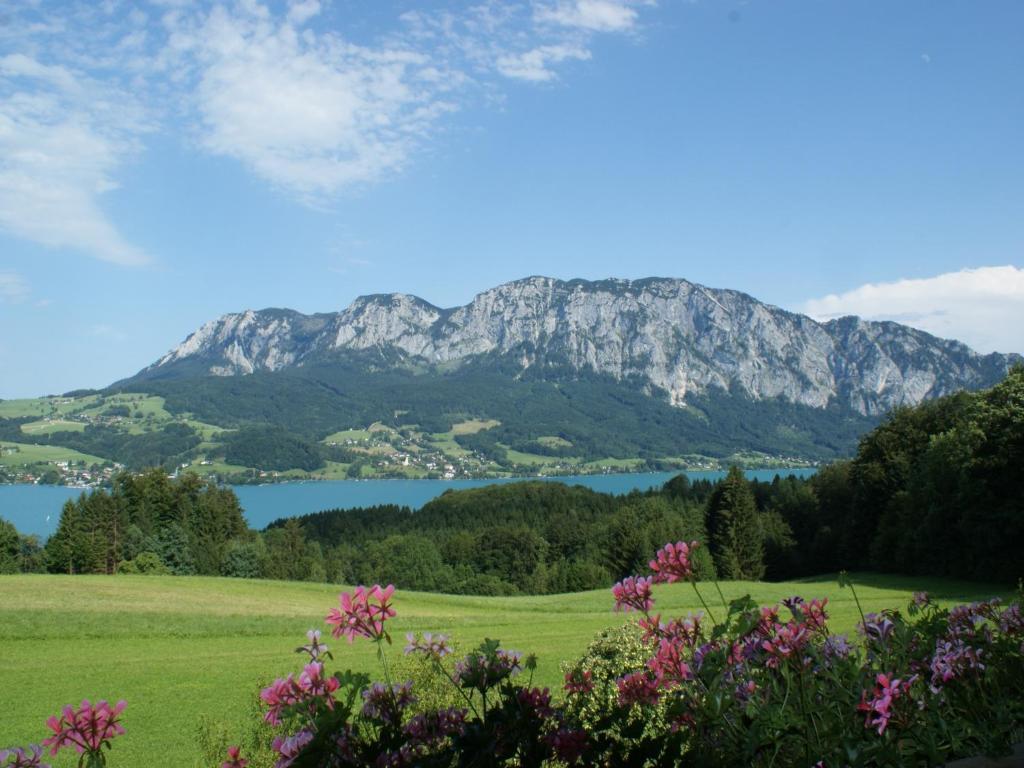 Biobauernhof Nussbaumer Villa Nussdorf am Attersee Exteriör bild